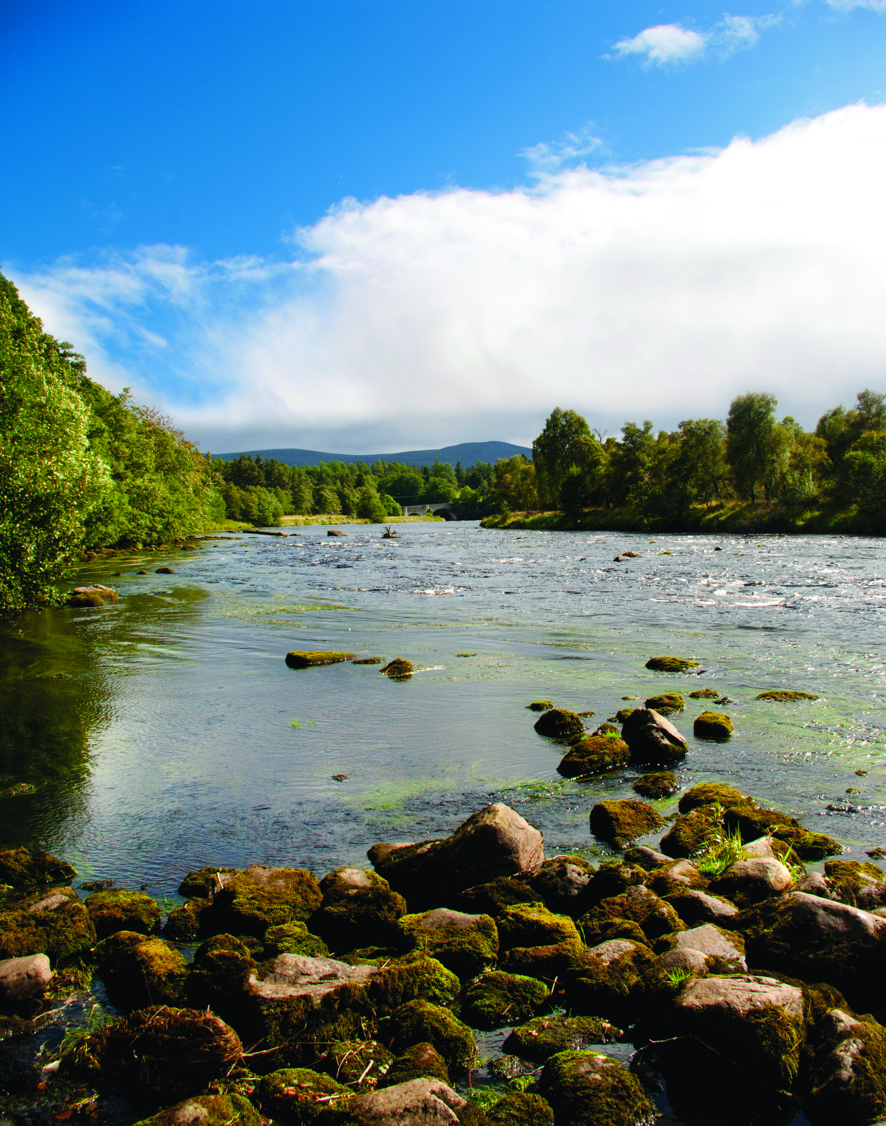 Craiglynne Hotel Grantown-on-Spey Екстер'єр фото